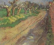 Vincent Van Gogh Pollard Willows (nn04) china oil painting reproduction